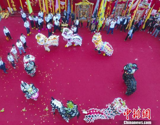 广东佛山盐步上演百年狮会广佛两百龙狮共舞