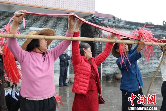 端芬镇平洲村村民在绑新丁炮 黄绮玲 摄