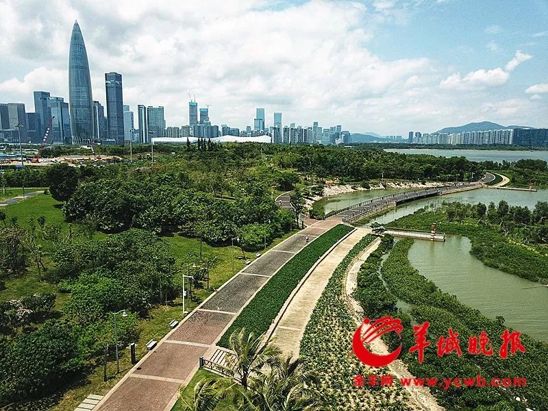 深圳绿道：都市桃源，许你一段美妙慢时光_广东省人民政府侨务办公室