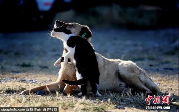 点击进入下一页