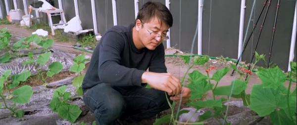 《一位北大毕业生在加拿大的种菜之路！》 视频截图