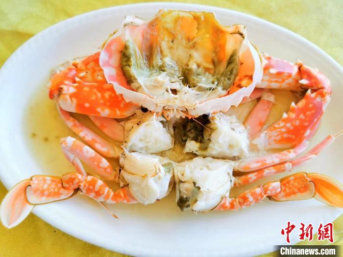 清蒸是烹制“飞机蟹”最能保持原汁原味的做法 李晓春 摄