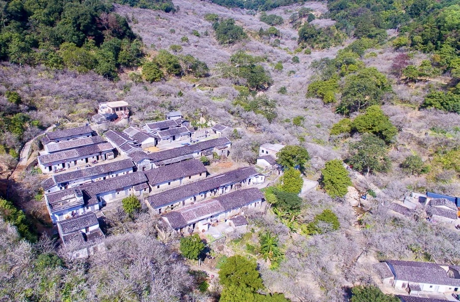 【岭南记忆】揭阳揭西:西坑香雪海,坪上绿云烟