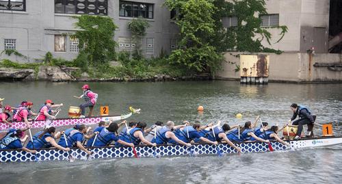 中国侨网有30个团队参加了当天的划龙舟比赛。图为两个龙舟队在激烈角逐中。(美国《芝加哥华语论坛》报/张大卫 摄)