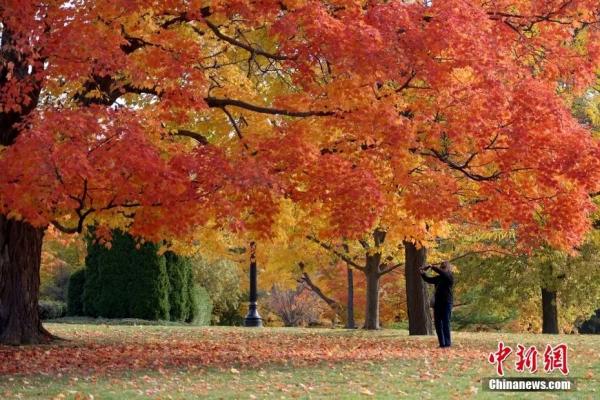 资料图：金秋时节加拿大各地正迎来赏枫季。图为10月15日，加拿大首都渥太华，游人在总督府内欣赏秋日景色。<a target='_blank' href='http://www.chinanews.com/'>中新社</a>记者 余瑞冬 摄