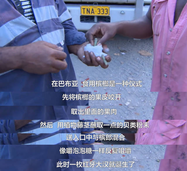 在非洲巴布亚，长途司机用同样的方法吃槟榔提神。