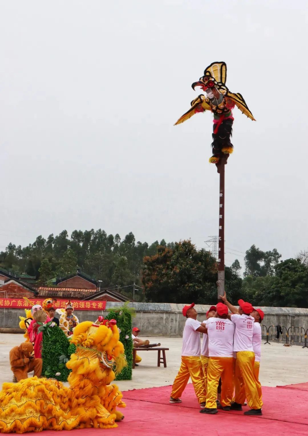 　　元宵节期间，遂溪县黄略镇殷屋村中的“舞鹰雄”表演。“舞鹰雄”是殷屋村的传统艺术表演形式，“鹰”即为雄鹰，“雄”则是一种形似狮子、头上有角的虚构动物，“舞鹰雄”将武术、舞蹈与祭祀祈福相结合，具有独特的艺术魅力