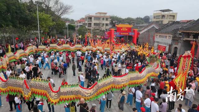 市民在海珠花市挑选年花。