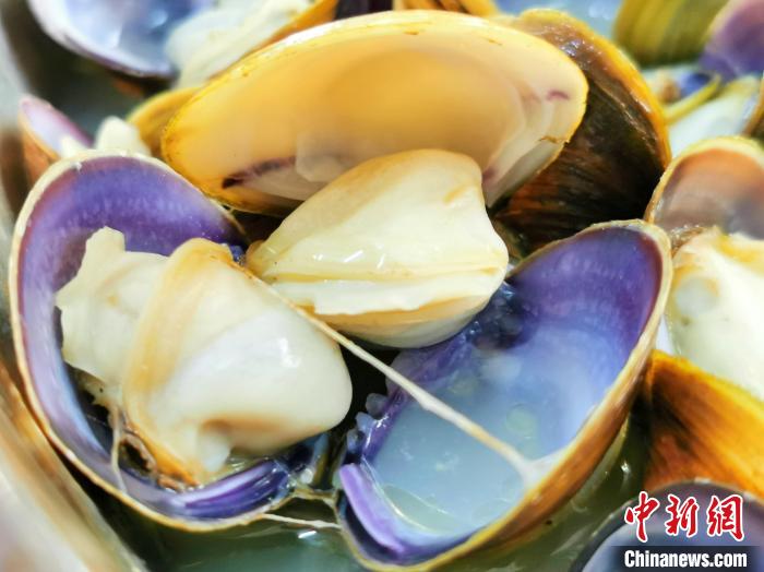 广东侨乡江门清明“黄沙蚬”肉肥味鲜食客接踵而至