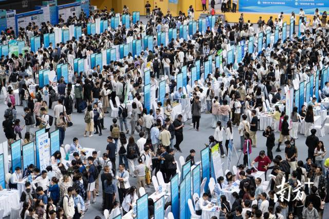 2025年4月26日，青年服务“百千万工程”专题招聘会在华南农业大学举办，为广东县域高质量发展链接优质青年人才。张梓望 许舒智/摄